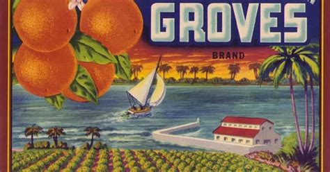 Florida Frontiers: Citrus labels as works of art