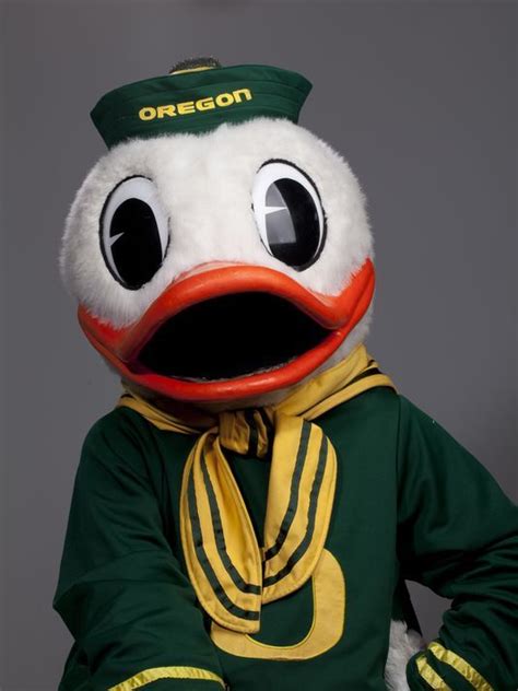 The Oregon Duck Best Mascot Ever Oregon Ducks Football Oregon
