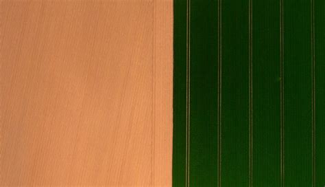 Gambar : musim panas, pertanian, panen, bidang, gandum, warna, hijau, kuning, alam, dengung