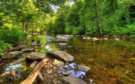 River Barle Exmoor National Park England River With Crystal Clear Water