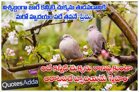 Love Birds Images With Quotes In Telugu Animaltree