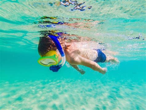 Underwater Nature Study Boy Snorkeling In Clear Blue Sea Stock Photo