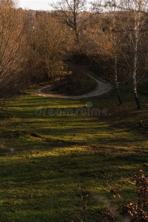 Photo Of The Dirt Road Turn Among The Autumn Forest Stock Image Image