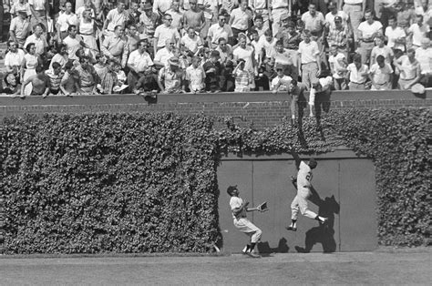 Willie Mays Great Catch Against Wrigley Field Wall 1958