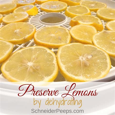 Homemade Dried Lemons An Easy Way To Preserve Lemons Schneiderpeeps
