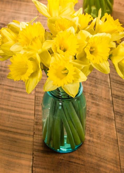 Bouquet Of Yellow Daffodil Flowers In A Jar Stock Photo Image 52128101