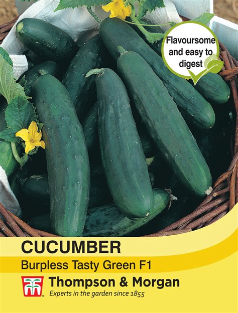 Cucumber Burpless Tasty Green F1 Thompson And Morgan Seed Pack