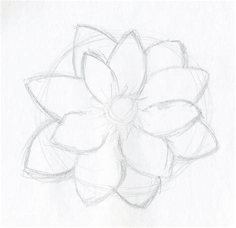 Free Drawings Of Flowers Download Free Drawings Of Flowers Png Images