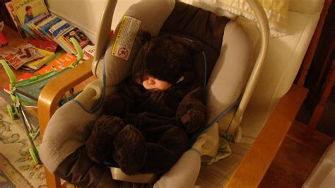 My Son The Bear Like A Dad