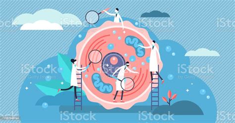 Menselijke Cel Vector Illustratie Kleine Gestileerde Microbiologie