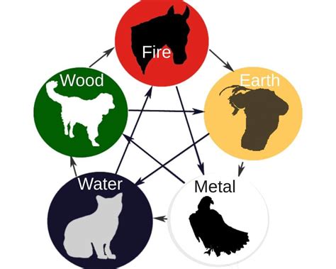 Five Element Theory For Animal Health Essential Animals
