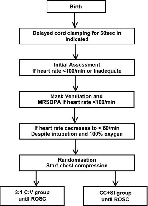 Chest Compression During Sustained Inflation Versus 31 Chest
