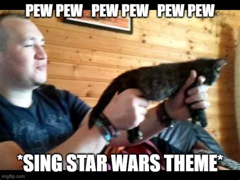Star Wars Cat Meme Imgflip