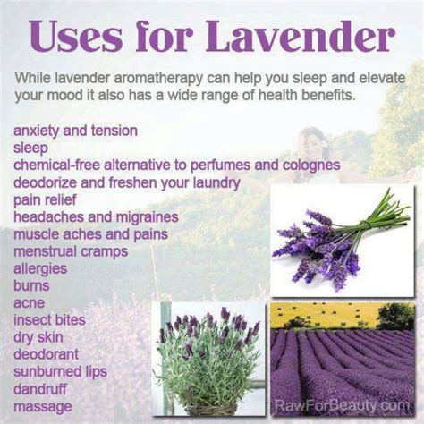 Uses For Lavender Lavender Aromatherapy Essential Oils Aromatherapy Lavender Essential Oil