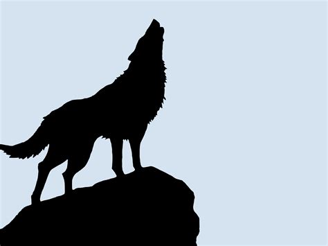 Wolf Silhouette Wallpaper At Getdrawings Free Download