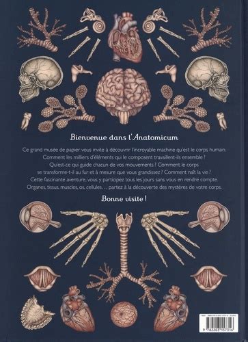 Anatomicum De Jennifer Z Paxton Album Livre Decitre