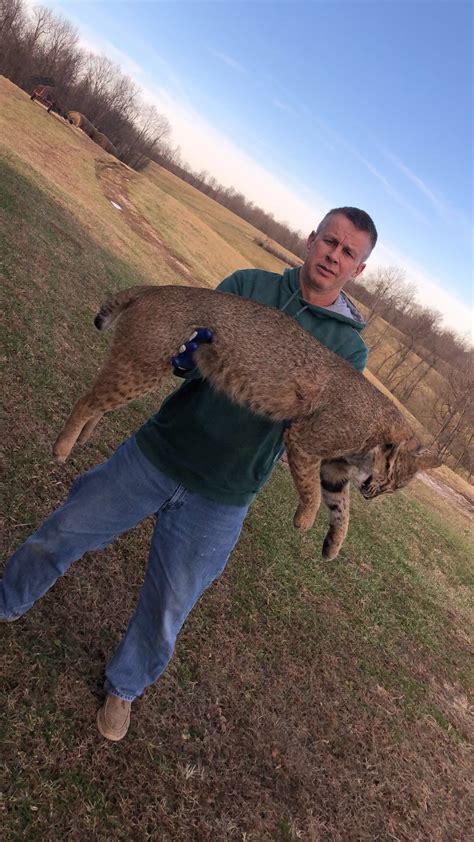 Got A Cat Kentucky Hunting