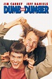 DUMB AND DUMBER TO Eyed for Summer 2014 Release; Story Picks Up 18 ...