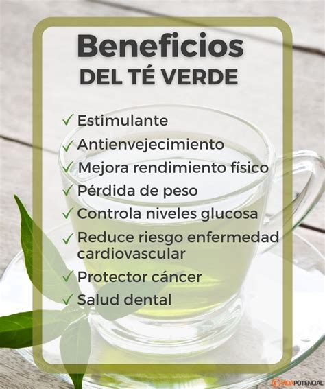 8 Beneficios Del Té Verde Vida Potencial