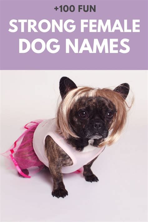 See Our Favorite Strong Female Dog Names For A Puppydog Girl Who Dont