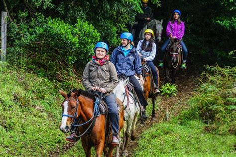 Monteverde Horseback Riding Tour Costa Rica Book Online And Save