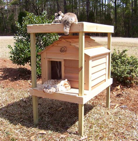 Table of contents top 10 best outdoor insulated cat shelters and houses reviewed how to choose the best insulated outdoor cat house it comes fully insulated all you may need to add is some straw or a small, outdoor safe, mat. 20" Cat House with Platform and Loft - Custom Dog & Cat ...