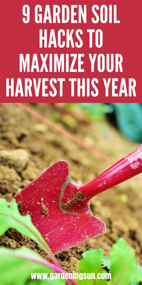 9 Garden Soil Hacks To Maximize Your Harvest This Year Garden Soil