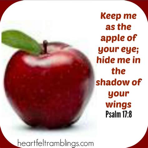 I will never forget my beautiful days with you in shanklin, they are certainly the most pleasant ones of my life. You are the apple of His eye | Quotes, Pictures, Inspirational, God | Pinterest | Eyes, The o ...