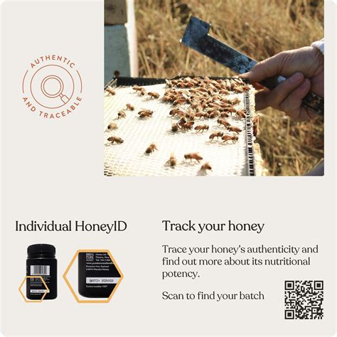 Buy 100 Pure New Zealand Manuka Honey Certified UMF 20 MGO 829