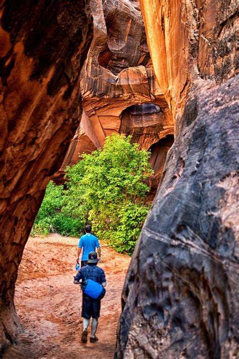 Hike To The Golden Cathedral With Images Grand Staircase Escalante