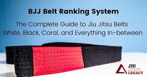 Guide To Bjj Belts Ranking System 8 Belts Explained
