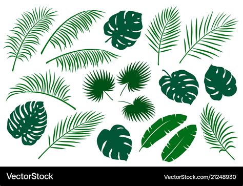 Set Of Green Palm Leaves Royalty Free Vector Image
