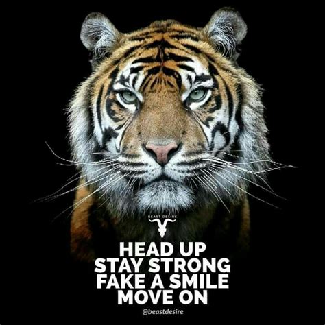 Pin By Halimath Shahajiya On Determined Tiger Quotes Beast Quotes