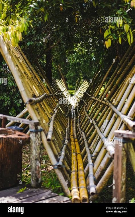 Bamboo Bridge Across A River Inside A Jungle Stock Photo Alamy