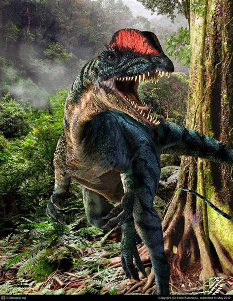The Dilophosaurus A Rare And Dangerous Dinosaur Adventurefilm