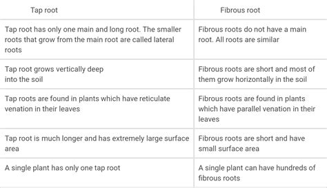 Differentiate Between Tap Root And Fibrous Root