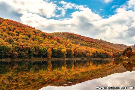 50 Fabulous Fall Foliage Destinations In PA In 2022 Gorges State Park