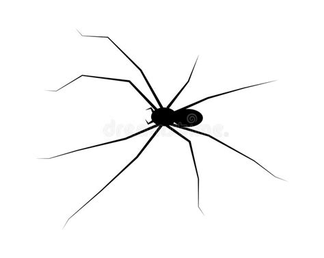 Drawn Black Widow Spider Stock Illustrations 555 Drawn Black Widow