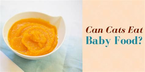 Choose as simple a diet as possible. Can Cats Eat Baby Food? | CATS ARE ON TOP