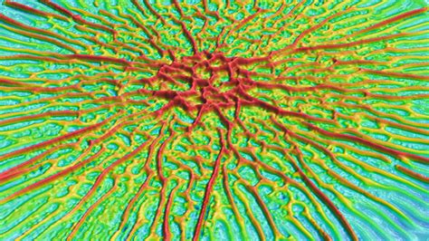 Biofilm Surface Topography Image Eurekalert Science News Releases