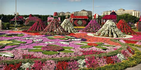Discover Dubai Miracle Garden With Kids