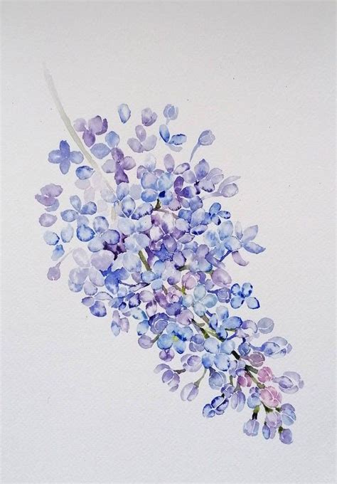 Lilac Flower Watercolour Original Painting By Etsy In 2021