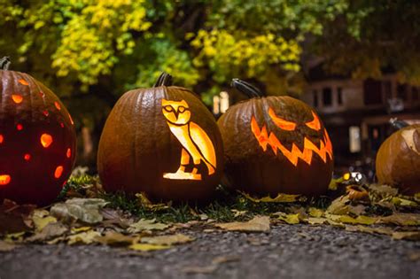 37 Photos Of Creative Pumpkin Carvings In Toronto