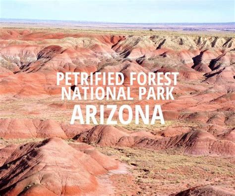 How To Visit Petrified Forest National Park Arizona In One Day