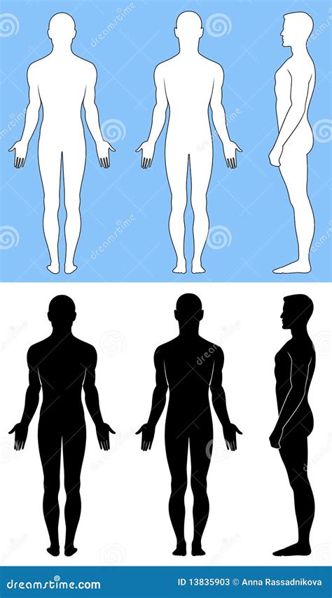 Naked Standing Woman Vector Sihouette CartoonDealer Com 22345898
