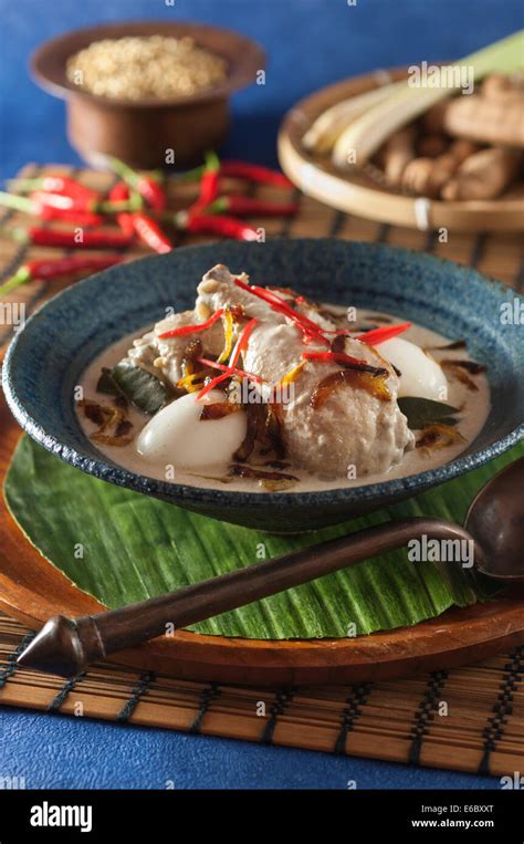 Opor Ayam Chicken Cooked In Coconut Milk Indonesia Food Stock Photo