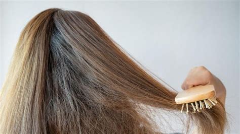 7 Cara Mengatasi Rambut Yang Mengembang Agar Mudah Diatur Passiontoprofit