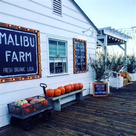 Malibu Farm Gourmet Goodness On The Pier