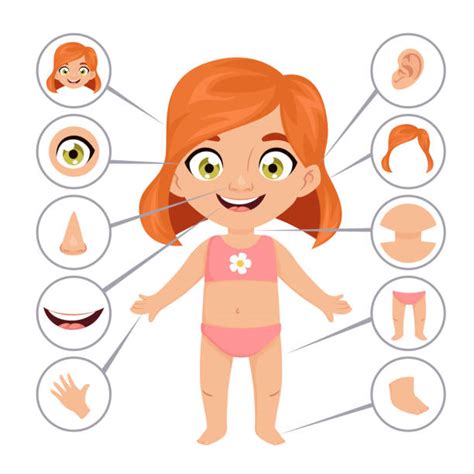Kid Body Parts Illustrations Royalty Free Vector Graphics And Clip Art