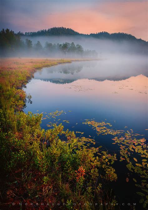 Misty Autumn Morning Beautiful Photos Of Nature Dreamy Landscapes